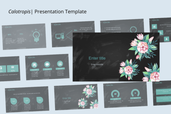 Calotropis: A Design Template for Modern Storytelling